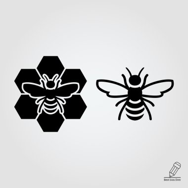 Arı ve arı tarak üzerinde oturan