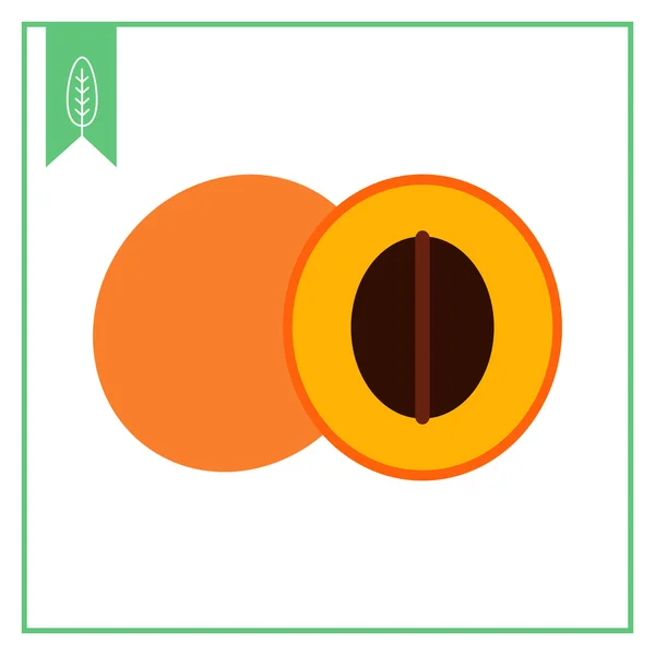 Половина абрикоса и абрикоса — стоковый вектор