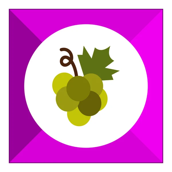 Green grape bunch icon — Stock Vector
