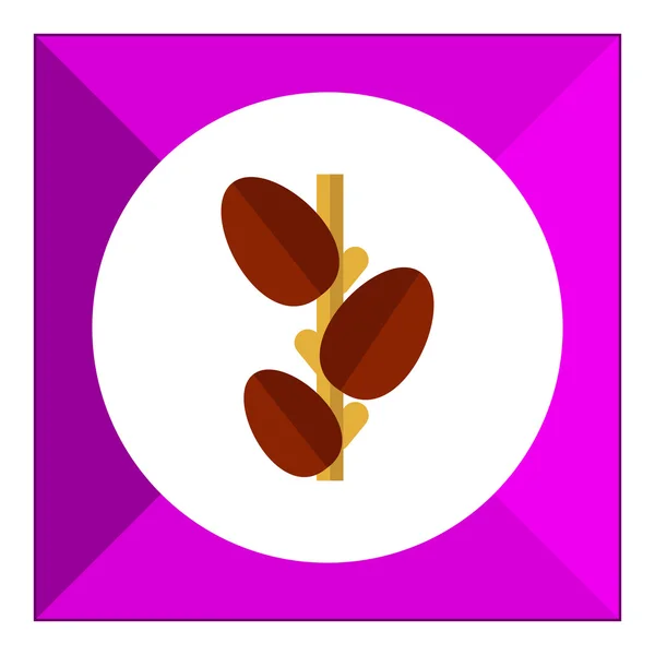 Groeiende koffiebonen pictogram — Stockvector