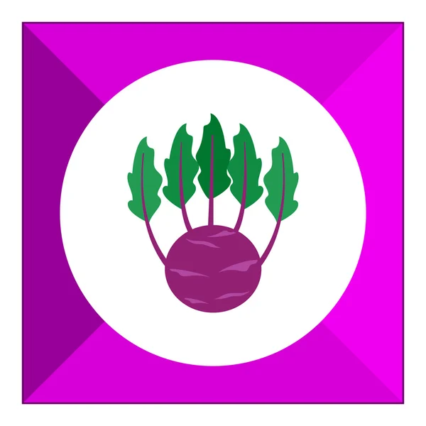Кольраби икона капусты — стоковый вектор