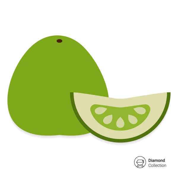 Pomelo en pomelo slice — Stockvector