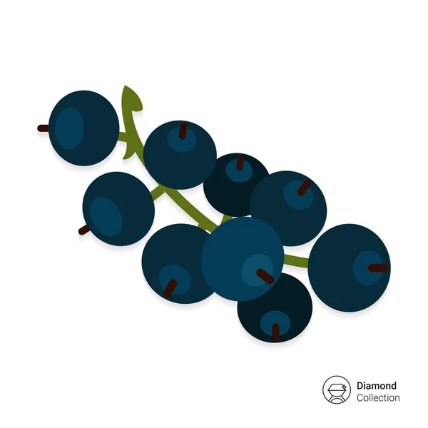 Mogna svarta vinbär ikonen — Stock vektor