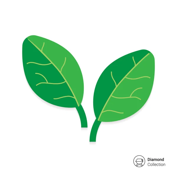 Espinacas hojas icono — Vector de stock