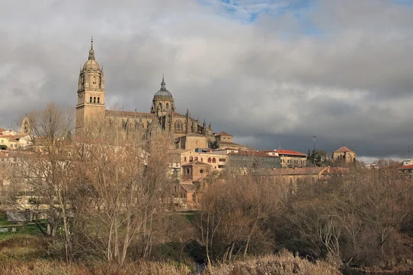 Fabulous views of the medieval cathedral. Catedral Nueva de Sala — Stock Photo, Image