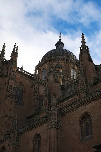 New Cathedral of Salamanca is incredibly beautiful and huge. Salamanca. Spain — Stock Photo, Image