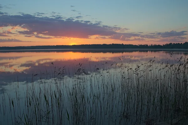 Beau lever de soleil au bord du lac. Un peu plus et nous verrons le soleil. (Pisochne ozero, Ukraine ). — Photo