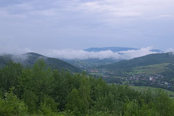 A hegyek a köd, eső után. Festői táj. Kialakítása, Ukrajna — Stock Fotó