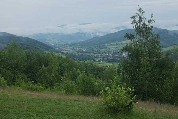 Les sommets des montagnes sont couverts de brume. La pluie vient de se terminer. Paysage pittoresque. oblast de Zakarpatska, Ukraine — Photo