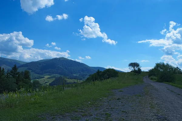 El camino de la tierra va a las montañas. Los Volovets pasan. Provincia de Zakarpatska, Ucrania —  Fotos de Stock