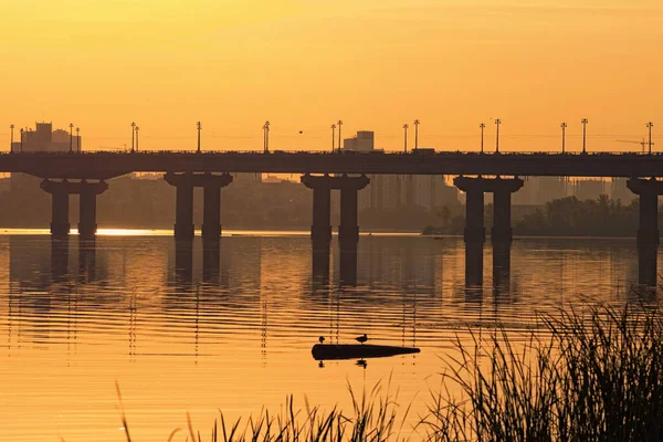 Paesaggio Paesaggistico Autunnale Alba Kiev Vicino Fiume Dnipro Silhouette Nera — Foto Stock