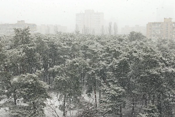 Landschappelijk Uitzicht Sneeuwval Stad Bos Sneeuw Hoge Woongebouwen Achtergrond Goedemorgen — Stockfoto