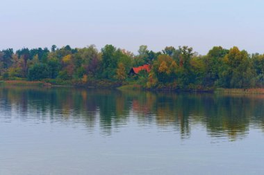 Sonbahar renkli ağaçların resimli manzarası suya yansıyor. Kırmızı kiremit çatılı ahşap ev nehir kıyısının yakınındaki ormanda gizlidir. Sisli bir sonbahar sabahı. Kyiv, Ukrayna.