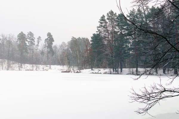 Снігопад Лісі Сценічний Зимовий Пейзаж Замерзлого Ставка Лісі Евергрін Ліс — стокове фото