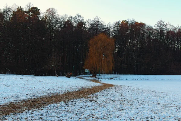 Прекрасний Зимовий Краєвид Піщаний Звивистий Шлях Через Поле Вкрите Снігом — стокове фото