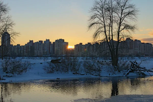 Picturesque winter landscape of frozen Dnieper River during sunset. Buildings of The Obolon neighborhood in the background. Bare tree reflected in the water. The sun is hiding behind the house. Kyiv.
