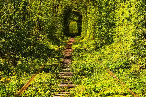 Vista Panorâmica Paisagem Natural Antiga Ferrovia Passa Por Túnel Natural — Fotografia de Stock