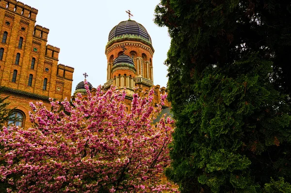 Verbazingwekkend Landschap Van Oude Drie Hiërarchische Kerk Blossom Boomgrens Natuurlijk — Stockfoto