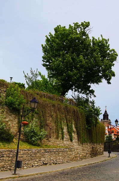 Malerische Frühlingslandschaft Blick Auf Mittelalterliche Kopfsteinpflasterstraße Mit Verteidigungsmauer Von Efeu — Stockfoto