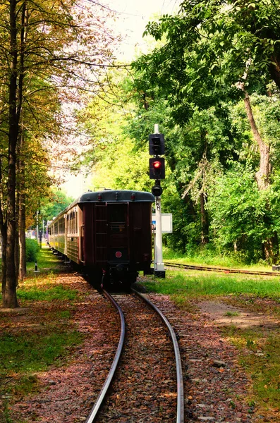 孩子们的火车到达车站 西列茨基公园的风景阳光灿烂的自然景观 改造后的基辅儿童铁路 美丽的夏季森林和树叶 — 图库照片