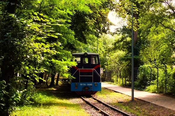 2021年8月22日 乌克兰基辅 儿童列车在公园轨道上的近景 阳光明媚的一天 Syretsky公园的Kyiv儿童铁路 — 图库照片