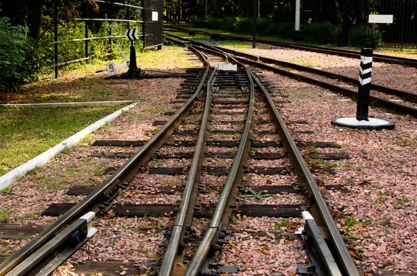 Úzkoměrné Železniční Tratě Výhybkami Přestupy Kyjevské Dětské Železnici Syretském Parku — Stock fotografie