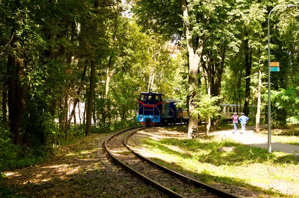 Kiev Ucrania Agosto 2021 Tren Infantil Pista Curva Parque Hermoso —  Fotos de Stock