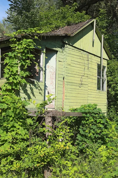 Заброшенный дом в лесу — стоковое фото
