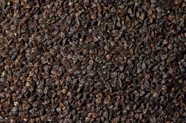 karabuğday, organik kazanç, yiyecek