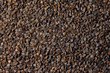 karabuğday, organik kazanç, yiyecek