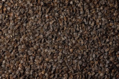 karabuğday, organik kazanç, yiyecek