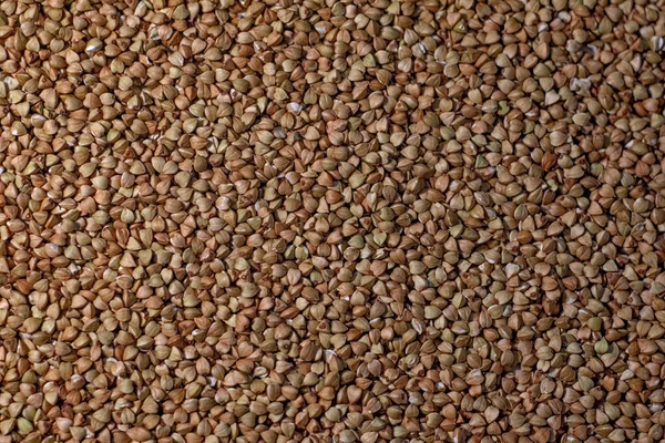 Grano Trigo Sarraceno Ganancia Orgánica Alimentos — Foto de Stock