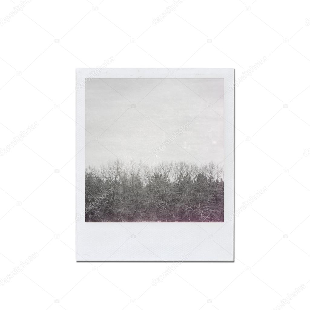 Instant Photo Frame Isolated On White Background Stock Instant Photo Frame Isolated On White Background Stock