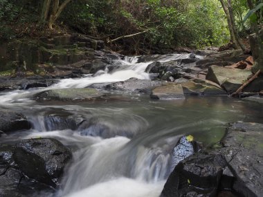 Tropikal ormanda küçük bir şelale