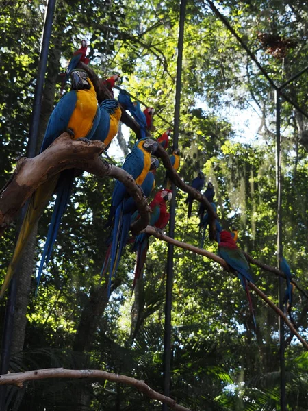 Jurong parque das aves fotos de stock, imágenes de Jurong parque das