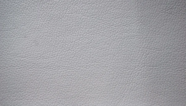 Textura de couro fundo — Fotografia de Stock