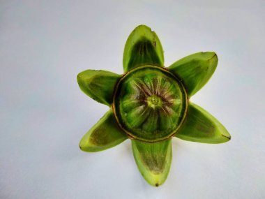 Sarımsak ve yuvarlak tabak.