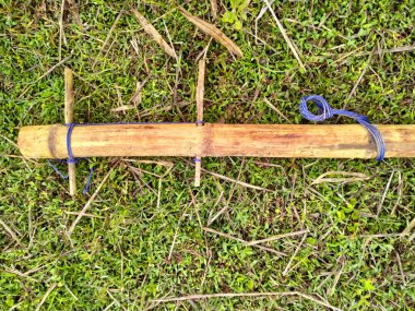 Bambu boyunduruğu ormanları pirinç hasadı.