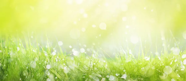 Herbal background Stock Images - Search Stock Images on Everypixel Herbal background Stock Images - Search Stock Images on Everypixel