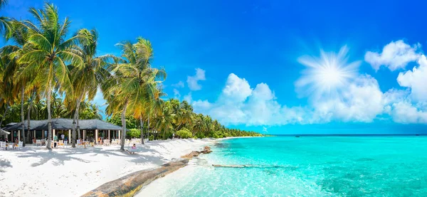 Beauty View Beach Line Tall Palms Tree Ocean White Sand — Stock Photo, Image