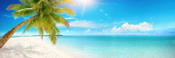 Beyaz Kumlu Güzel Tropik Plaj Arka Planda Turkuaz Okyanus Güneşli — Stok fotoğraf