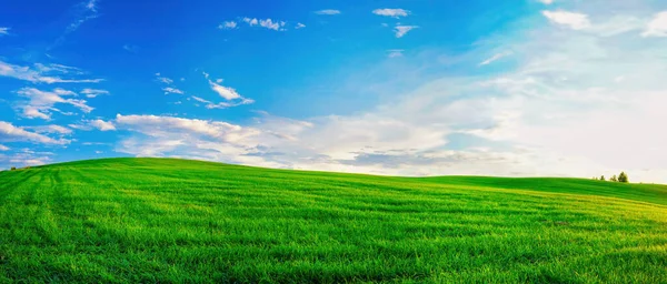 Панорамний Природний Пейзаж Зеленим Трав Яним Полем Блакитним Небом Хмарами — стокове фото