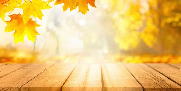 Mooie Herfst Achtergrond Met Oranje Gouden Esdoorn Bladeren Achtergrond Van — Stockfoto