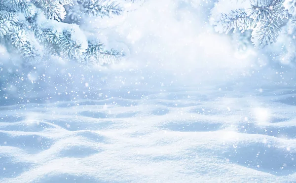 Zimowe Boże Narodzenie Malownicze Tło Miejsca Kopiowania Krajobraz Śniegu Gałązkami — Zdjęcie stockowe