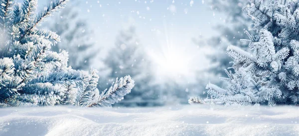 Invierno Azul Navidad Naturaleza Marco Fondo Gran Formato Ramas Abeto —  Fotos de Stock