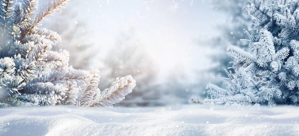Niebieski Zima Boże Narodzenie Natura Tło Ramki Szeroki Format Ośnieżone — Zdjęcie stockowe