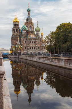 Kurtarıcı olarak kan