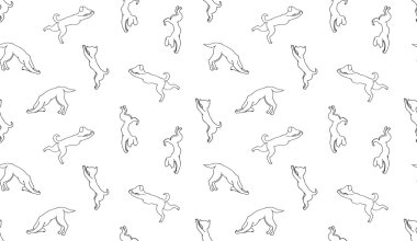 Köpek yogası pozlar.