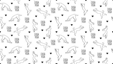 Köpek yogası pozlar