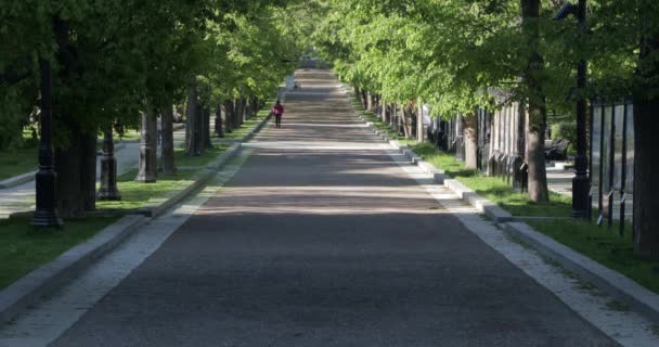 女性がすぐに歩く緑の木と空の路地 — ストック動画